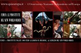 Femen: Le Strategie del Nuovo Ordine Mondiale