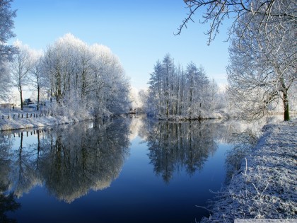 frozen_trees_reflected_in_water-wallpaper-1024x768