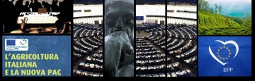 European Parliament - PAC