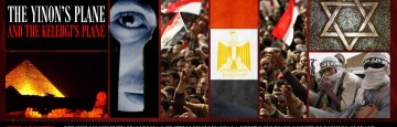 Fratelli Musulmani e Rivoluzione in Egitto nel Dopo Morsi