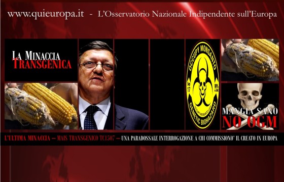 Mais Transgenico - Europa